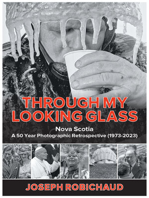 cover image of Through My Looking Glass